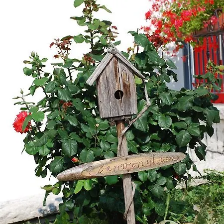 Dai Stoneri Guest house *